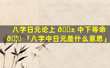 八字日元论上 🐱 中下等命 🦍 「八字中日元是什么意思」
